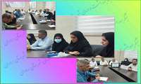 جلسه هماهنگی برنامه های هفته پیشگیری از غرق‌شدگی در رودان برگزار شد : 